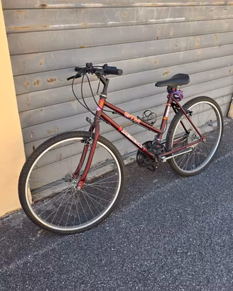 bicicletta 