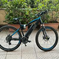Bicicletta elettrica