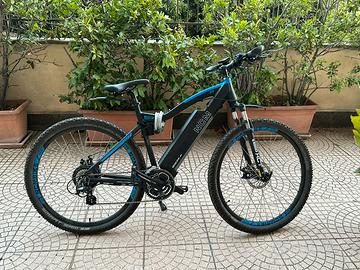 Bicicletta elettrica