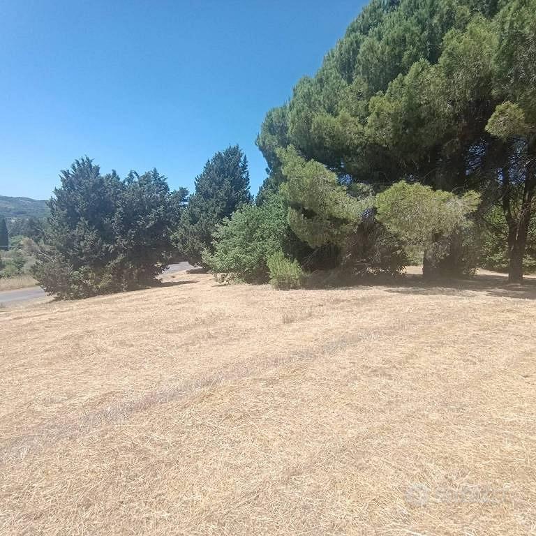 Terreno di 6820 m² a Sutri - Altro