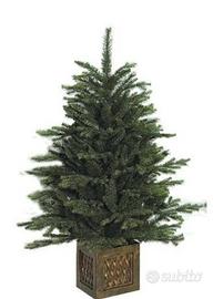 albero di Natale