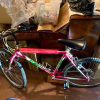 MTB VINTAGE Pinarello