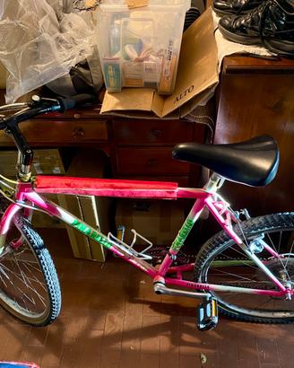 MTB VINTAGE Pinarello