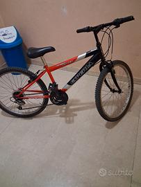 bici bimbo 24 polici