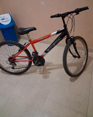bici bimbo 24 polici