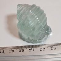 conchiglia in fluorite