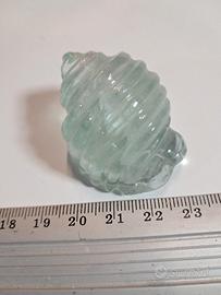 conchiglia in fluorite