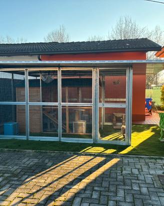 Box cani/gatti come nuovo