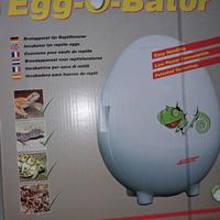 incubatrice  per rettili 