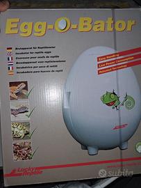 incubatrice  per rettili 