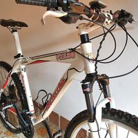 Bottecchia FX530