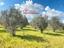 Immagine 14