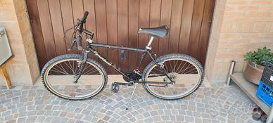 1 Citybike da  donna e 1 mtb rigida 