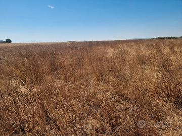 LA CRUCCA a circa 3 km da Li Punti