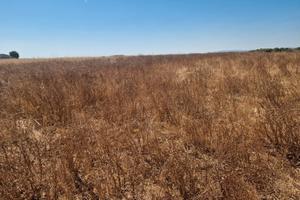 LA CRUCCA a circa 3 km da Li Punti