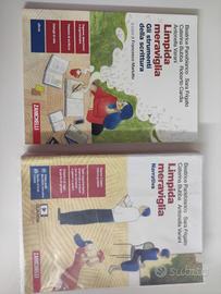 limpida meraviglia narrativa + limpida meraviglia 