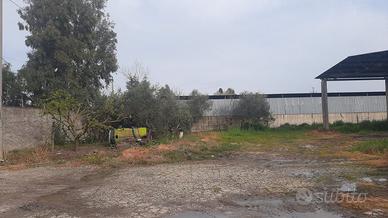 Compendio immobiliare tsmcv 122/2023