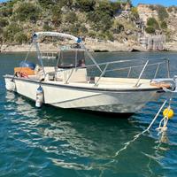 Boston Whaler 20