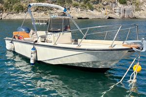 Boston Whaler 20
