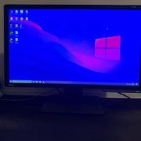 Monitor Benq Zowie xl2411p da 24' 144hz 1ms