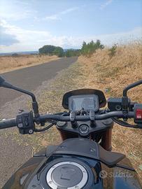 honda hornet 750