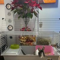 Gabbia per conigli o porcellini d’india