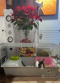 Gabbia per conigli o porcellini d’india