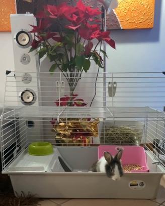 Gabbia per conigli o porcellini d’india