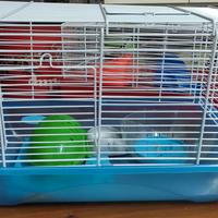 gabbie criceti o coniglio 