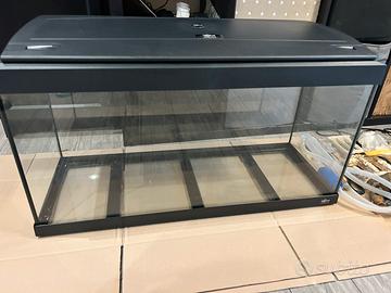 Acquario pesci / tartarughe solo Torino e prov.