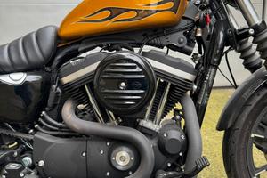 Iron 883