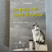 Un gatto nel cuore di Torino