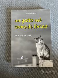 Un gatto nel cuore di Torino