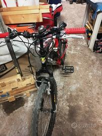 Mountain Bike Bottecchia