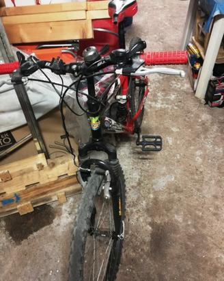 Mountain Bike Bottecchia