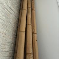 Canne vero Bambu’
