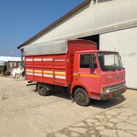 camion Om 50 trasporto animali vivi 