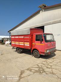 camion Om 50 trasporto animali vivi 