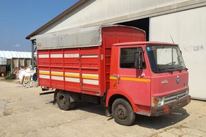 camion Om 50 trasporto animali vivi 