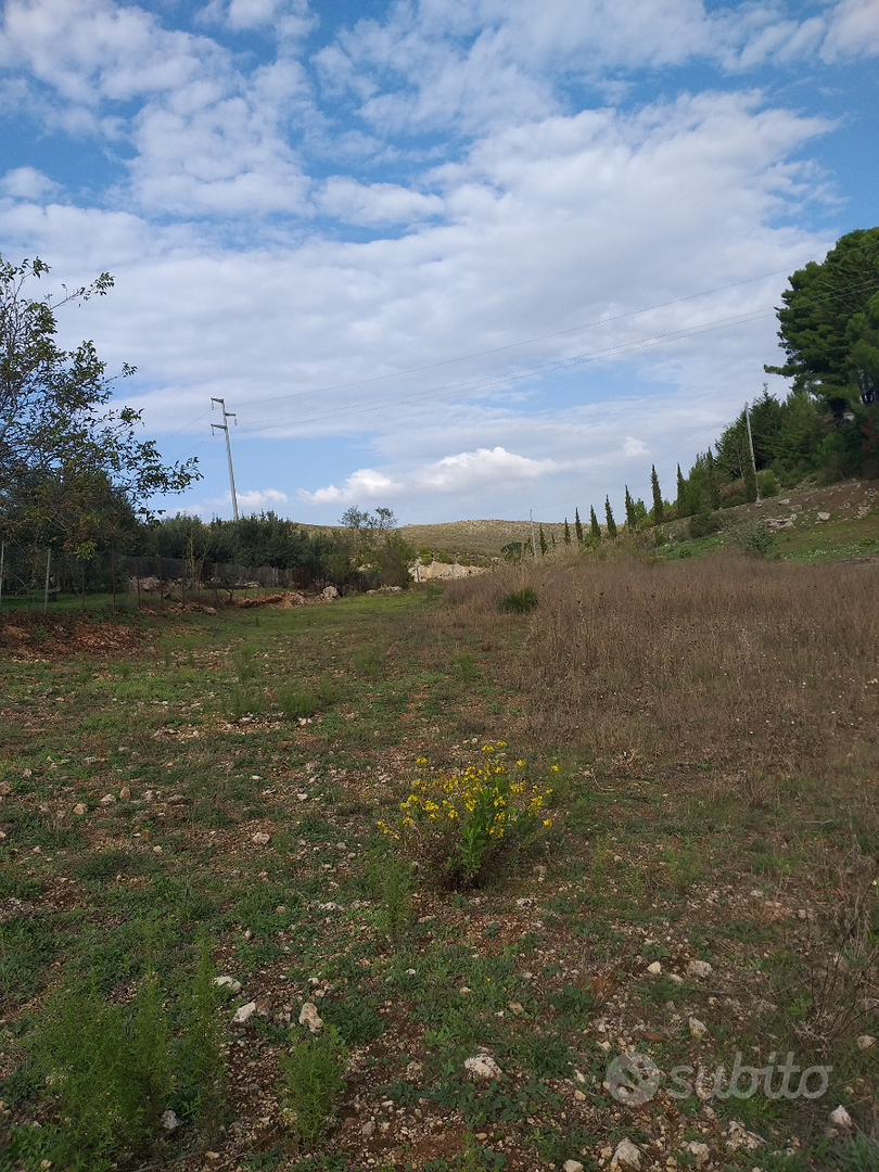 Terreno agricolo/pascolo - Vista 5