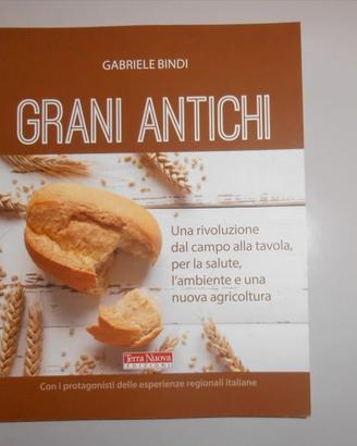Grani antichi, Cibo vitale, La sfida di Sekem