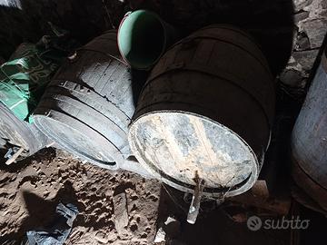 botti legno antiche vino