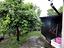 Immagine 28