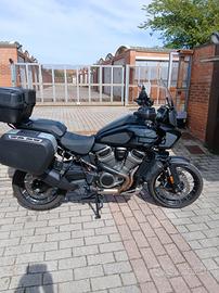 Harley Davidson  Pan America  1250 Special