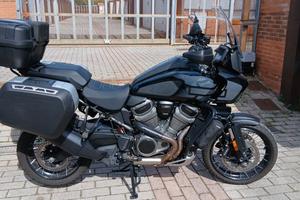 Harley Davidson  Pan America  1250 Special