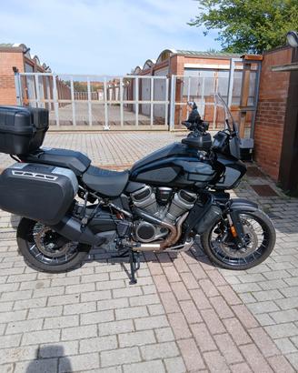 Harley Davidson  Pan America  1250 Special