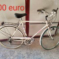 bici per adulto