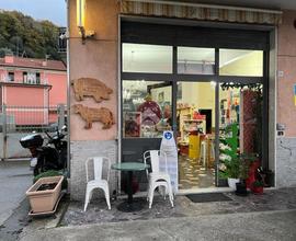 ATTIVITÀ A COGORNO