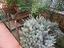 Immagine 19