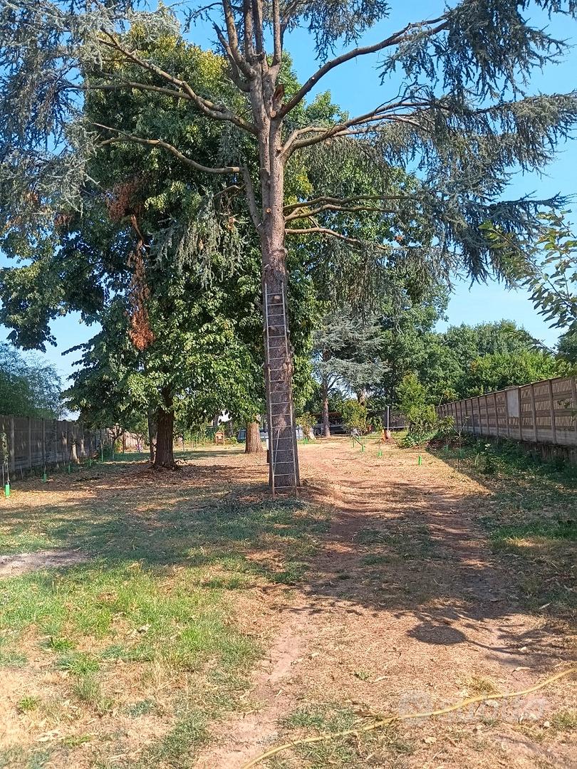 Terreno agricolo recintato con acqua potabile - Vista 3